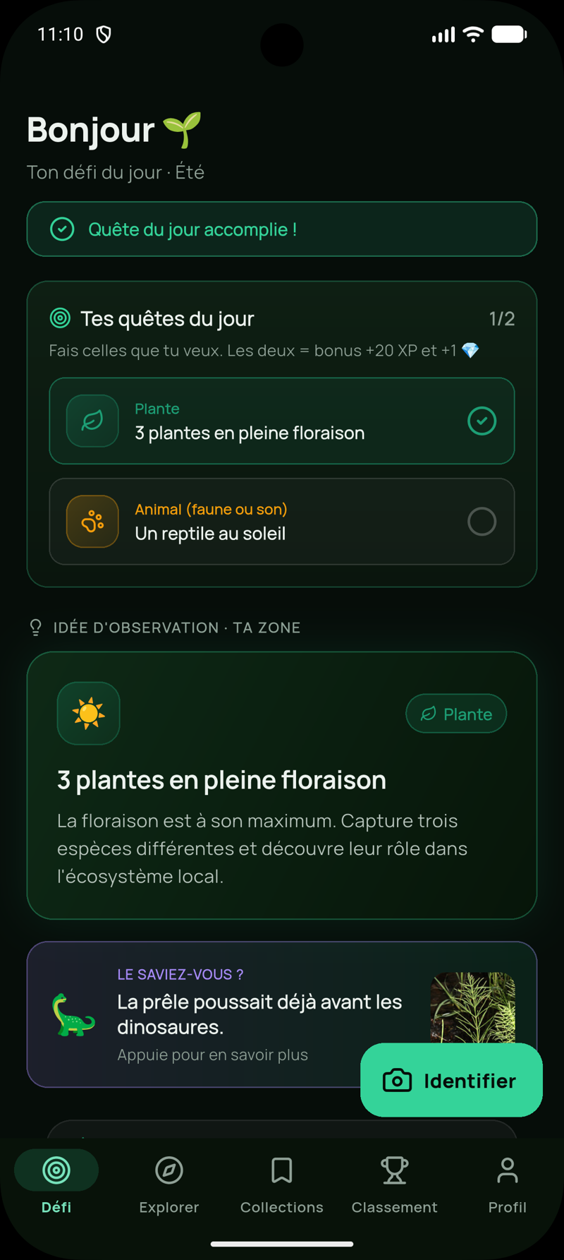 Accueil et quêtes du jour