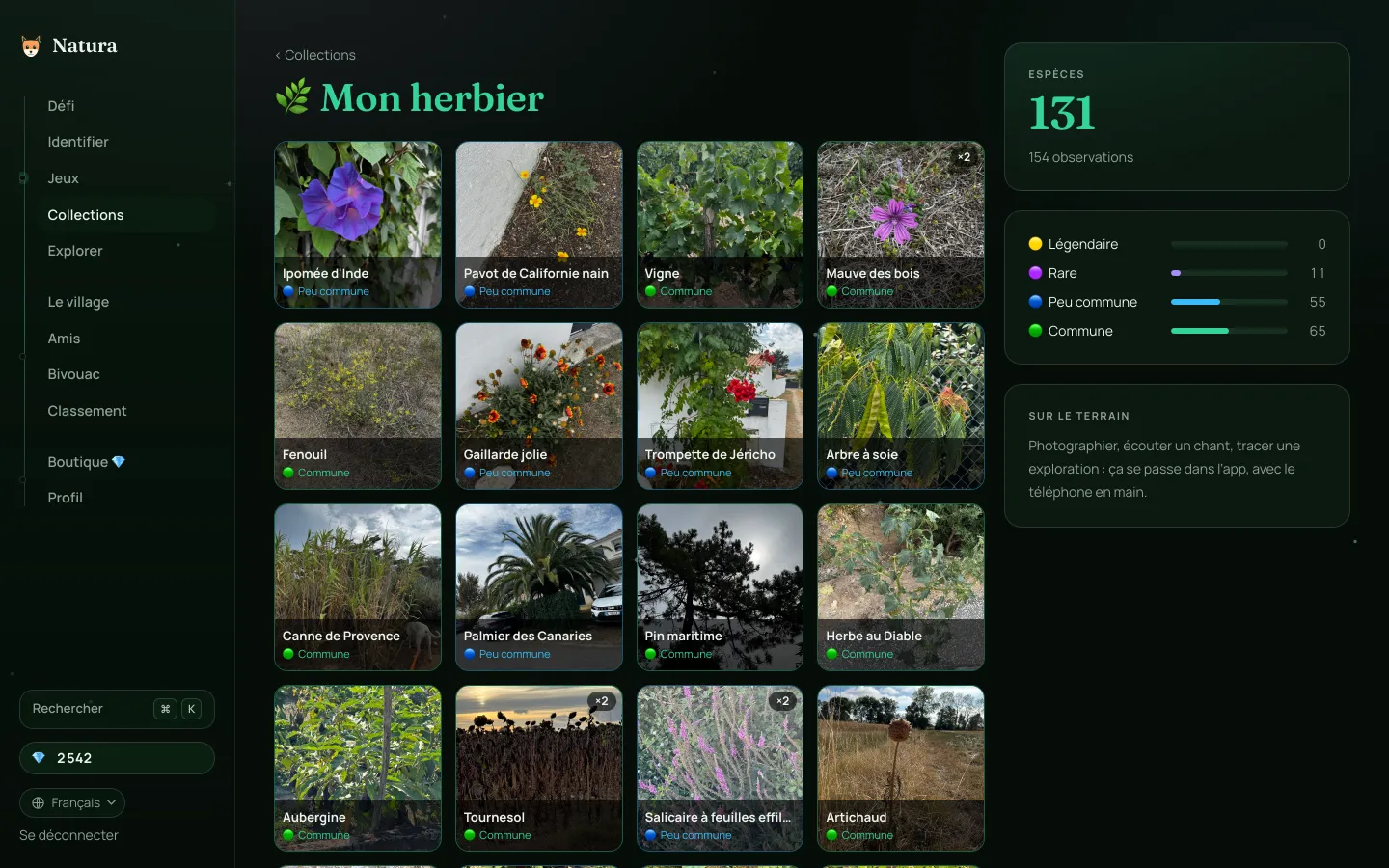 Natura au navigateur : l'herbier des espèces identifiées